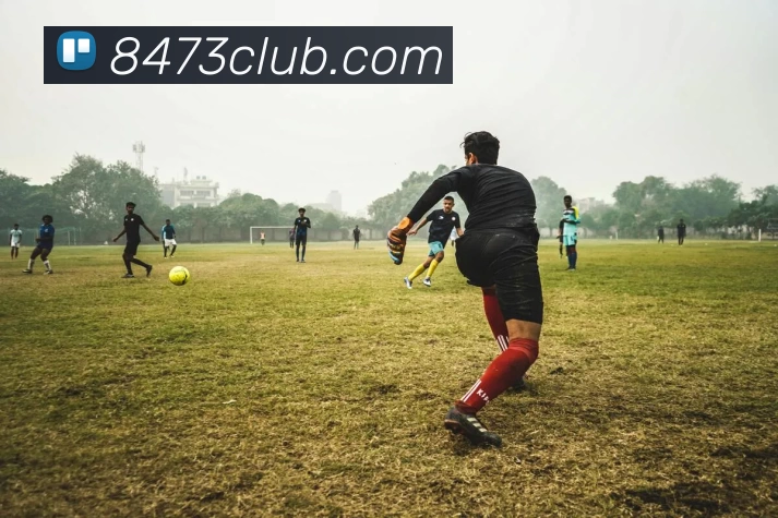 8473新葡京官网平台生态图