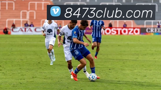 8473新葡京官网APP 封面图