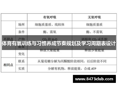 体育有氧训练与习惯养成节奏规划及学习周期表设计